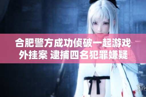 合肥警方成功侦破一起游戏外挂案 逮捕四名犯罪嫌疑人