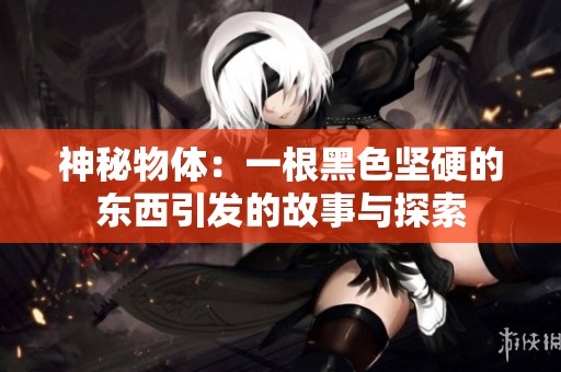 神秘物体：一根黑色坚硬的东西引发的故事与探索
