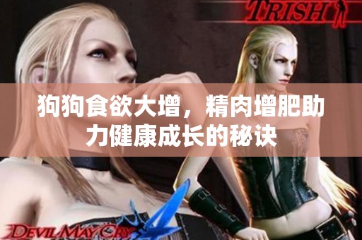 狗狗食欲大增，精肉增肥助力健康成长的秘诀