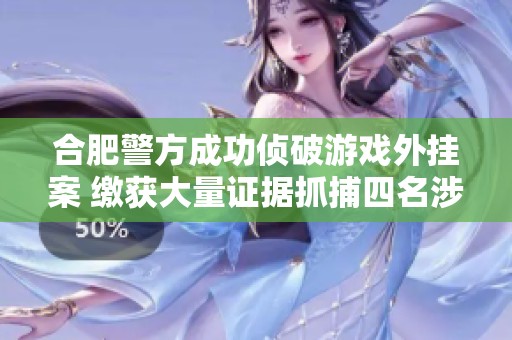 合肥警方成功侦破游戏外挂案 缴获大量证据抓捕四名涉案人员