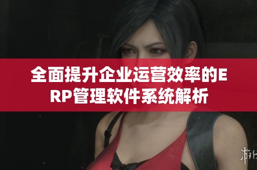 全面提升企业运营效率的ERP管理软件系统解析