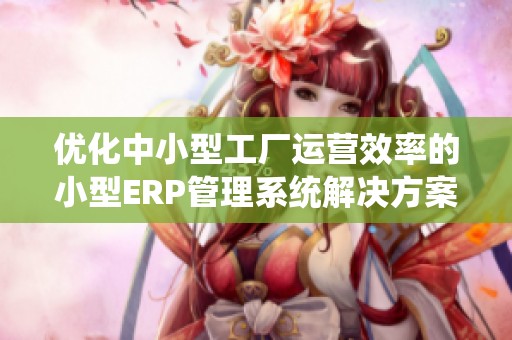 优化中小型工厂运营效率的小型ERP管理系统解决方案