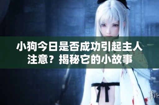 小狗今日是否成功引起主人注意？揭秘它的小故事