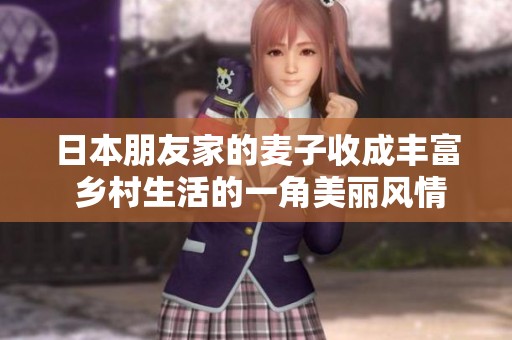 日本朋友家的麦子收成丰富 乡村生活的一角美丽风情