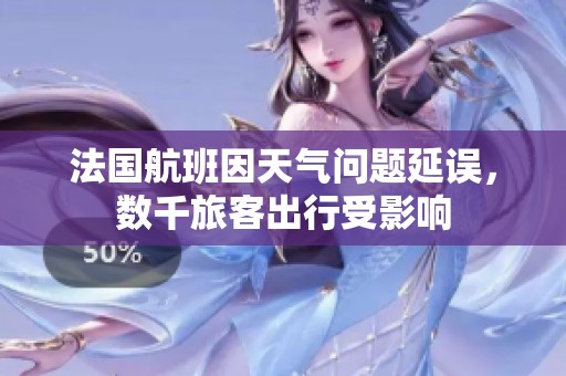 法国航班因天气问题延误，数千旅客出行受影响