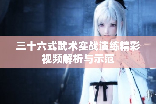 三十六式武术实战演练精彩视频解析与示范