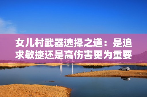 女儿村武器选择之道：是追求敏捷还是高伤害更为重要