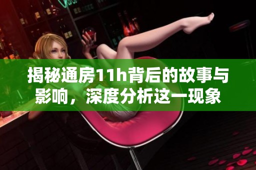 揭秘通房11h背后的故事与影响，深度分析这一现象