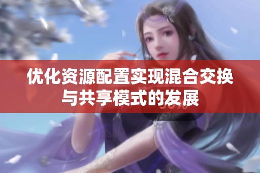 优化资源配置实现混合交换与共享模式的发展
