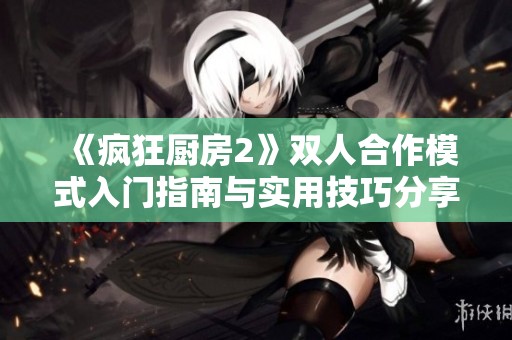 《疯狂厨房2》双人合作模式入门指南与实用技巧分享