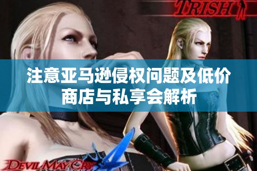 注意亚马逊侵权问题及低价商店与私享会解析