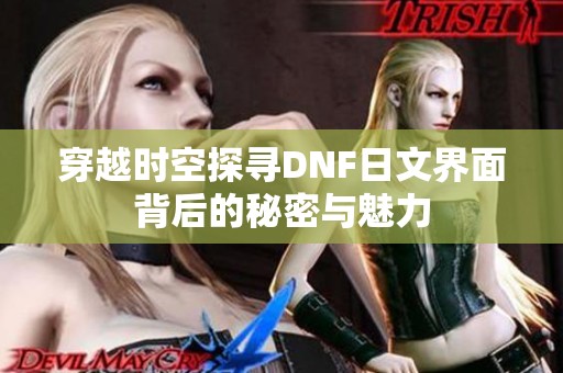 穿越时空探寻DNF日文界面背后的秘密与魅力