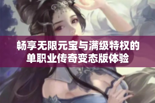 畅享无限元宝与满级特权的单职业传奇变态版体验