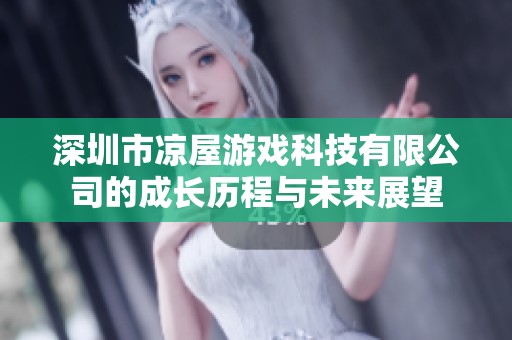 深圳市凉屋游戏科技有限公司的成长历程与未来展望