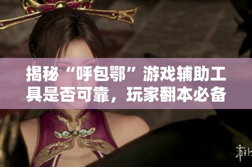 揭秘“呼包鄂”游戏辅助工具是否可靠，玩家翻本必备的秘密武器