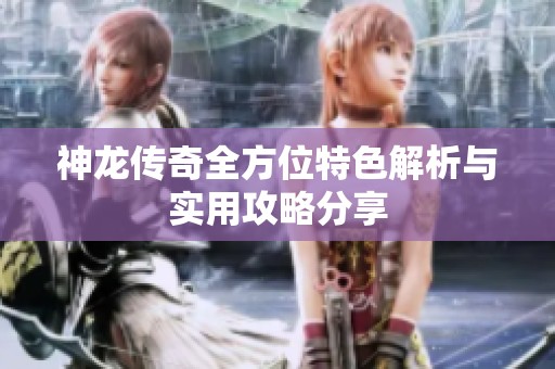神龙传奇全方位特色解析与实用攻略分享