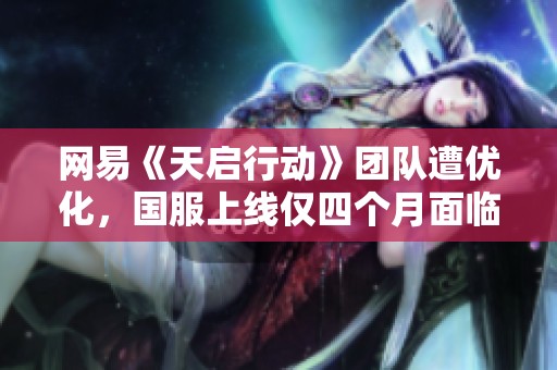 网易《天启行动》团队遭优化，国服上线仅四个月面临挑战