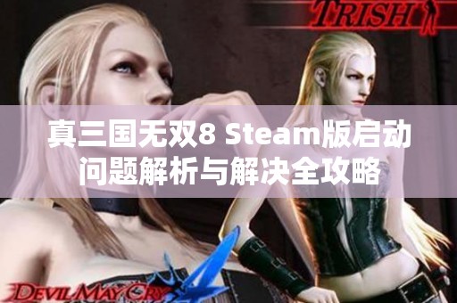 真三国无双8 Steam版启动问题解析与解决全攻略