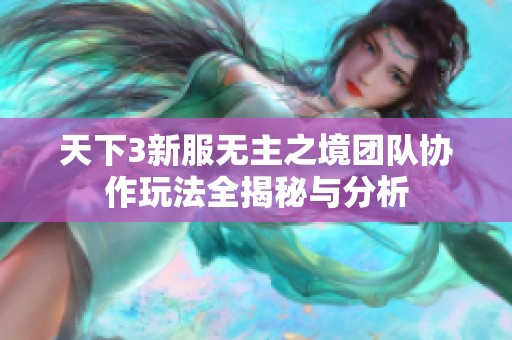 天下3新服无主之境团队协作玩法全揭秘与分析