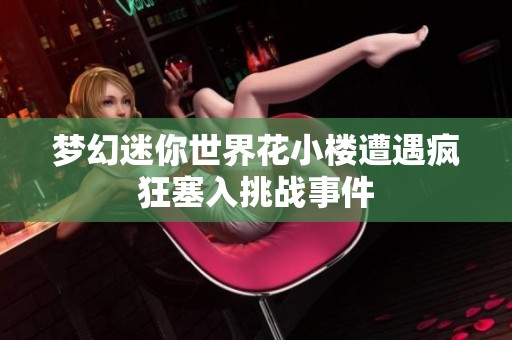 梦幻迷你世界花小楼遭遇疯狂塞入挑战事件
