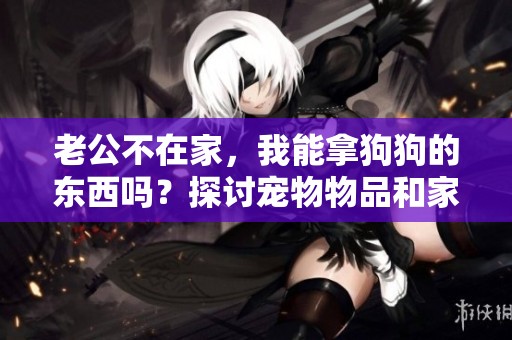 老公不在家，我能拿狗狗的东西吗？探讨宠物物品和家庭伦理