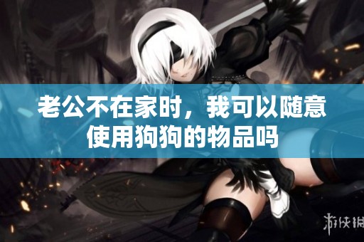 老公不在家时，我可以随意使用狗狗的物品吗