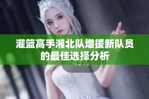 灌篮高手湘北队增援新队员的最佳选择分析
