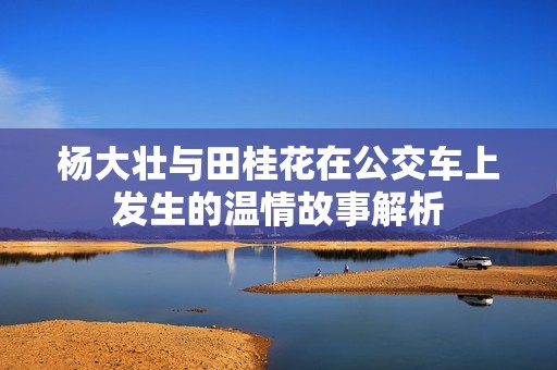 杨大壮与田桂花在公交车上发生的温情故事解析