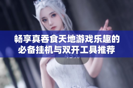 畅享真吞食天地游戏乐趣的必备挂机与双开工具推荐