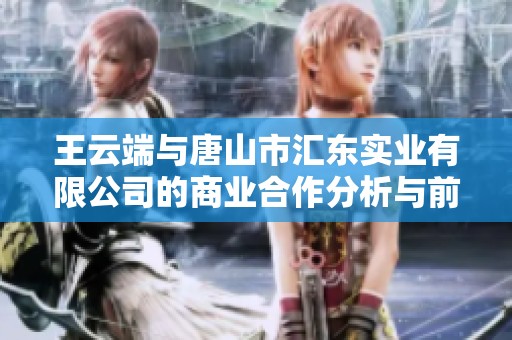 王云端与唐山市汇东实业有限公司的商业合作分析与前景探讨