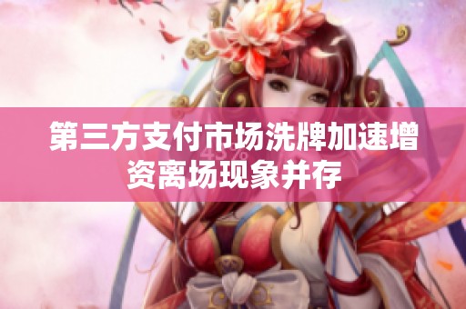 第三方支付市场洗牌加速增资离场现象并存