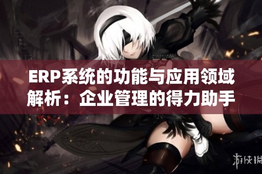 ERP系统的功能与应用领域解析：企业管理的得力助手