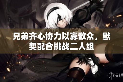 兄弟齐心协力以寡敌众，默契配合挑战二人组