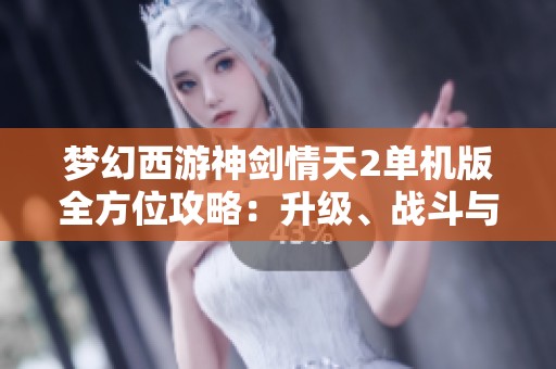 梦幻西游神剑情天2单机版全方位攻略：升级、战斗与秘籍详解