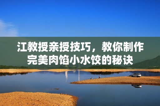 江教授亲授技巧，教你制作完美肉馅小水饺的秘诀