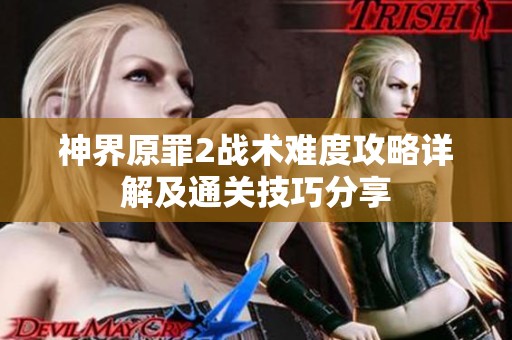 神界原罪2战术难度攻略详解及通关技巧分享