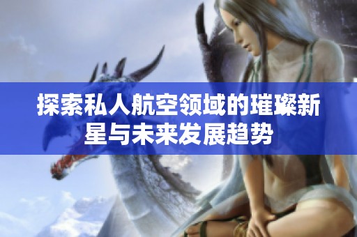 探索私人航空领域的璀璨新星与未来发展趋势