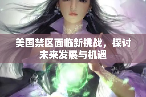 美国禁区面临新挑战，探讨未来发展与机遇