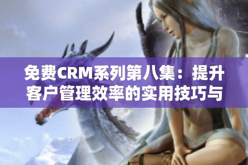 免费CRM系列第八集：提升客户管理效率的实用技巧与策略