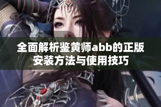 全面解析鉴黄师abb的正版安装方法与使用技巧