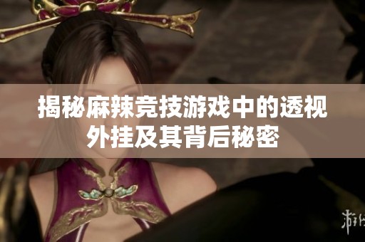 揭秘麻辣竞技游戏中的透视外挂及其背后秘密