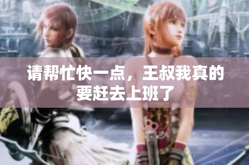 请帮忙快一点，王叔我真的要赶去上班了