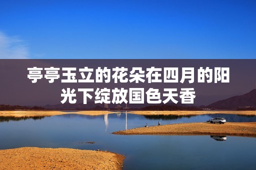 亭亭玉立的花朵在四月的阳光下绽放国色天香