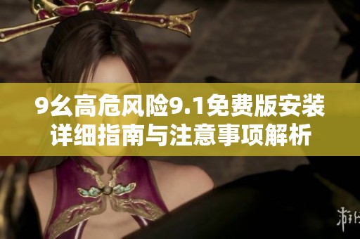 9幺高危风险9.1免费版安装详细指南与注意事项解析