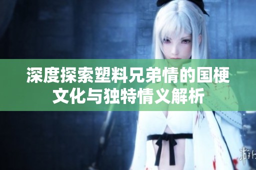 深度探索塑料兄弟情的国梗文化与独特情义解析