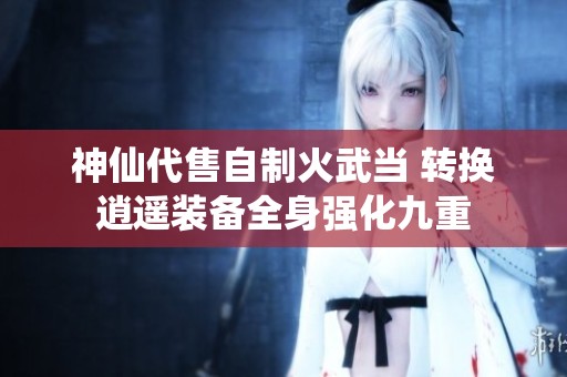 神仙代售自制火武当 转换逍遥装备全身强化九重