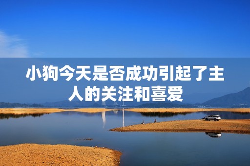 小狗今天是否成功引起了主人的关注和喜爱