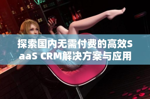 探索国内无需付费的高效SaaS CRM解决方案与应用实例